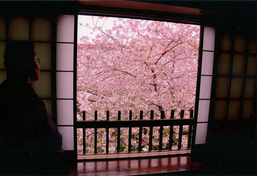 Hotel Tabi No Yado Satsuki Hita Exteriér fotografie