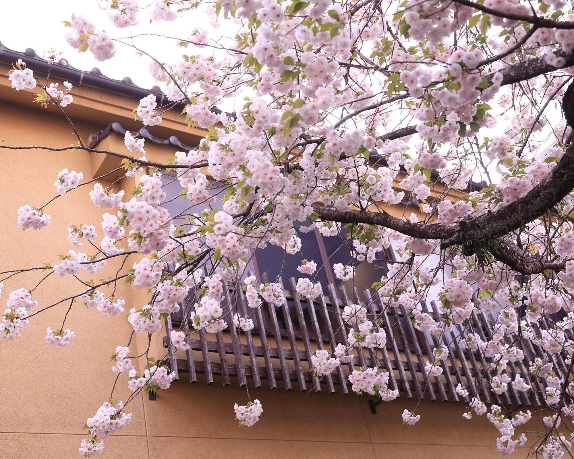Hotel Tabi No Yado Satsuki Hita Exteriér fotografie