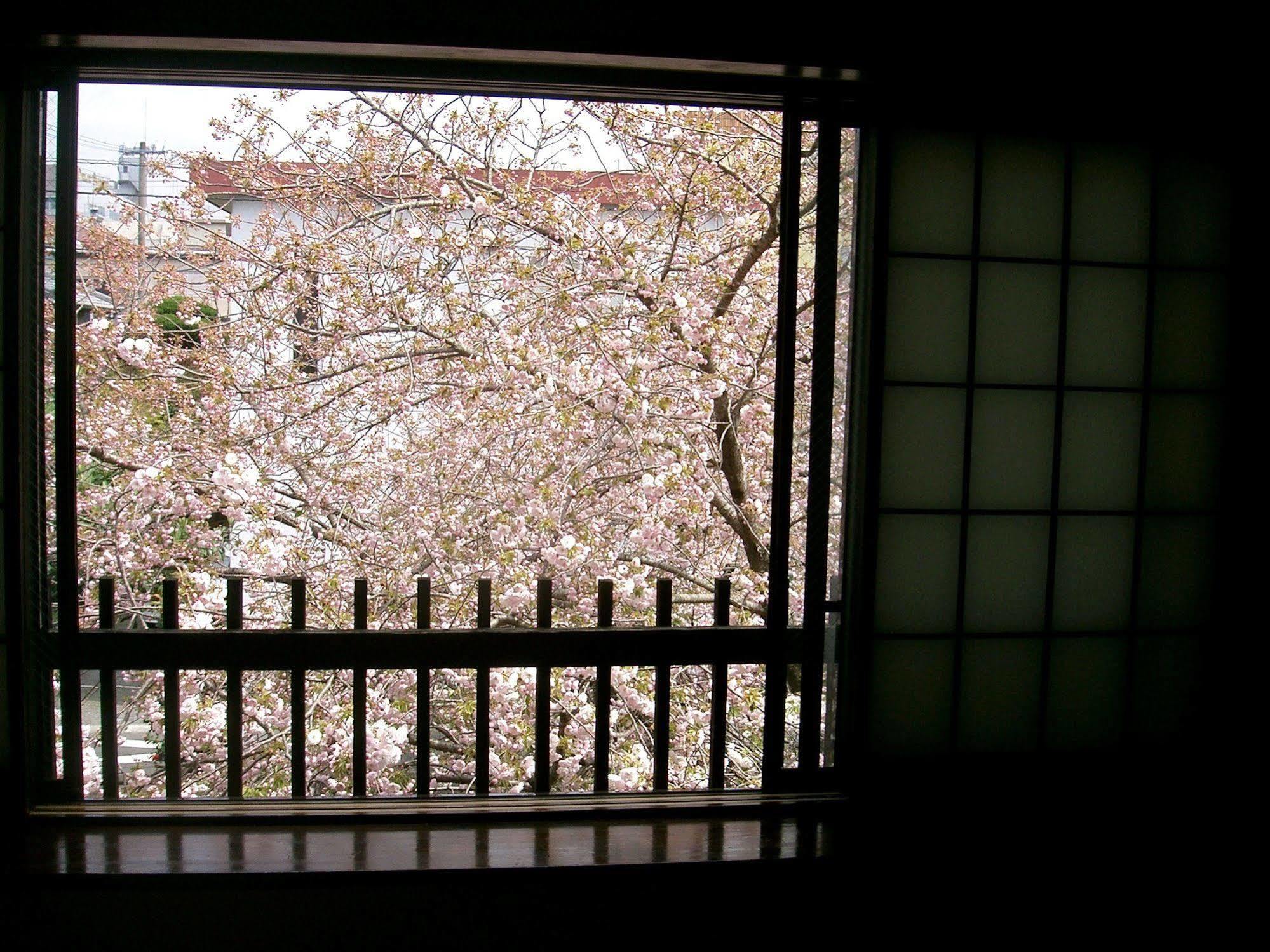 Hotel Tabi No Yado Satsuki Hita Exteriér fotografie
