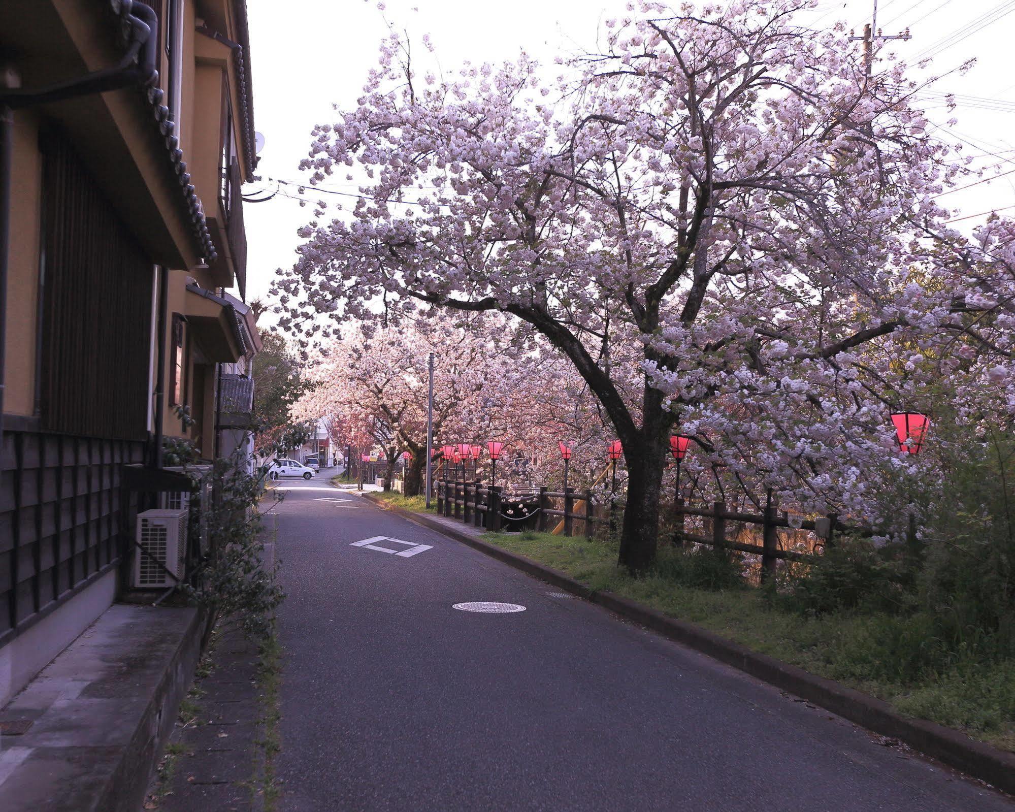 Hotel Tabi No Yado Satsuki Hita Exteriér fotografie