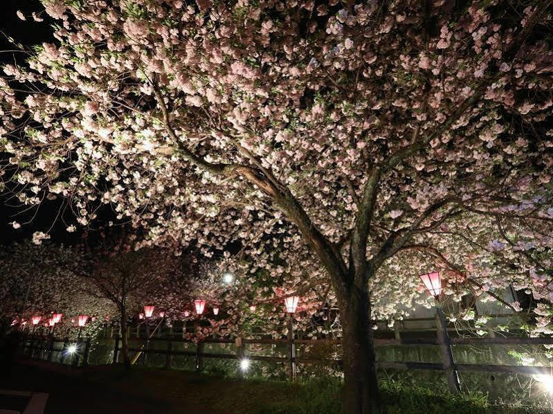 Hotel Tabi No Yado Satsuki Hita Exteriér fotografie